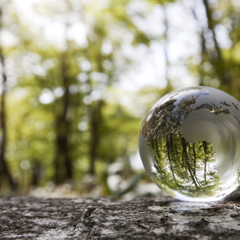 Glaskugel Wald Glaskugel im Wald, in der sich die Natur spiegelt